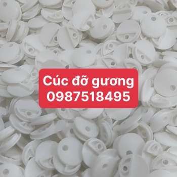 CÚC ĐỠ GƯƠNG